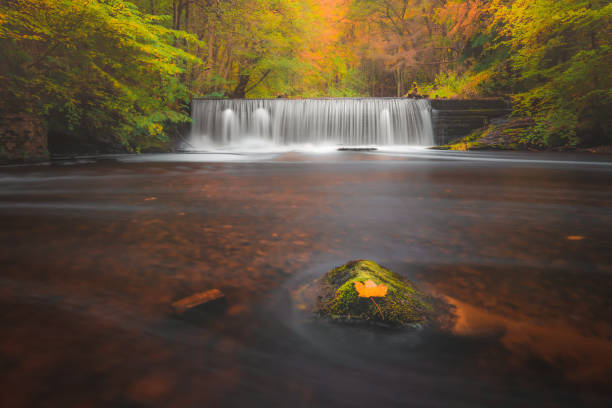 istock Gore Glen. Edinburgh, Scotland 1334725649