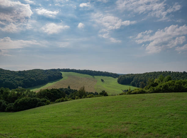 istock Hilly landscape with hay bales in the meadow 1334726181