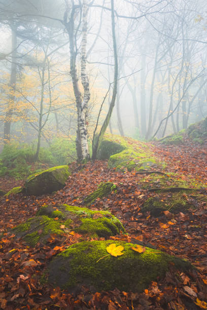 istock Costorphine Hill. Edinburgh, Scotland 1334726728