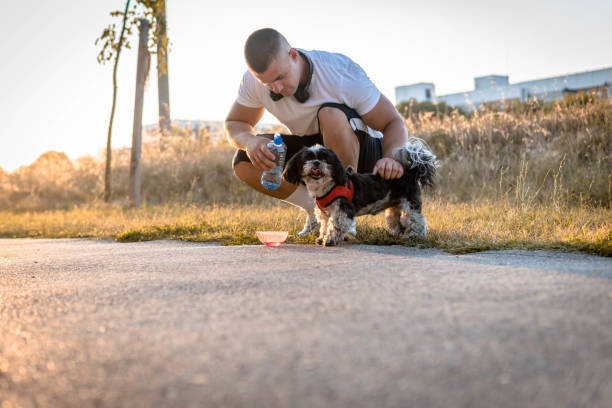 istock Young man walking his dog 1334727234