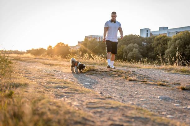 istock Young man walking his dog 1334727244