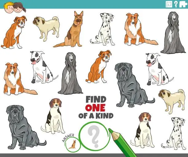 Vector illustration of one of a kind task for kids with cartoon purebred dogs