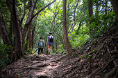 ハイキングのために自然の中を歩く日本の女性 - 後景