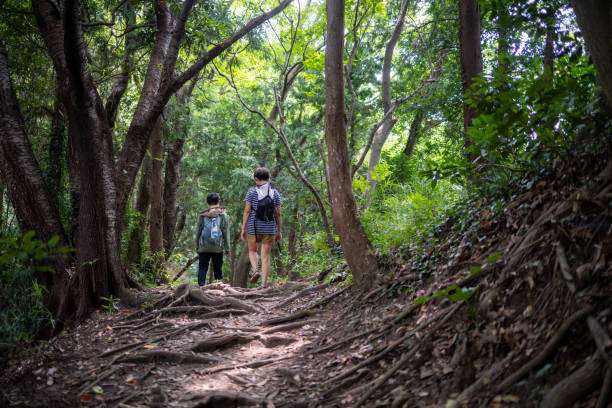 istock Japanese women walking in nature for hiking - rear view 1334731454