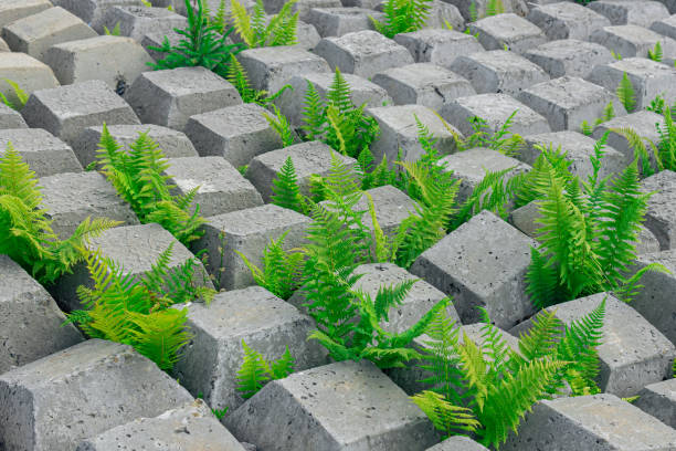 área coberta com esteira de concreto flexível para evitar erosão, colocada no chão, com plantas crescendo através dele - controla da erosão - fotografias e filmes do acervo