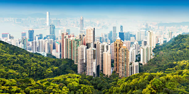 istock Hong Kong skyline from Victoria Peak 1334735937