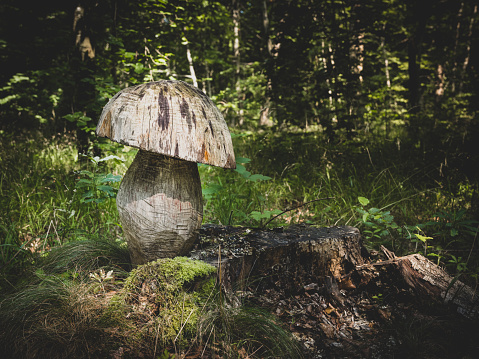 Giant mushroom carved from a tree trunk in the middle of the forest