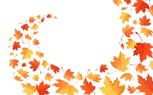 秋の背景と飛んで、落ちるカエデの葉。ベクトルの図 - canada canadian culture leaf maple点のイラスト素材／クリップアート素材／マンガ素材／アイコン素材