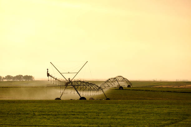 istock A center pivot irrigation sprinkler 1334746827
