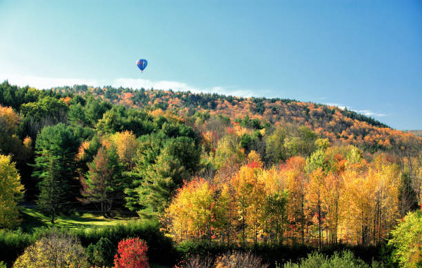 istock Hot air balloon in Vermont 1334746839