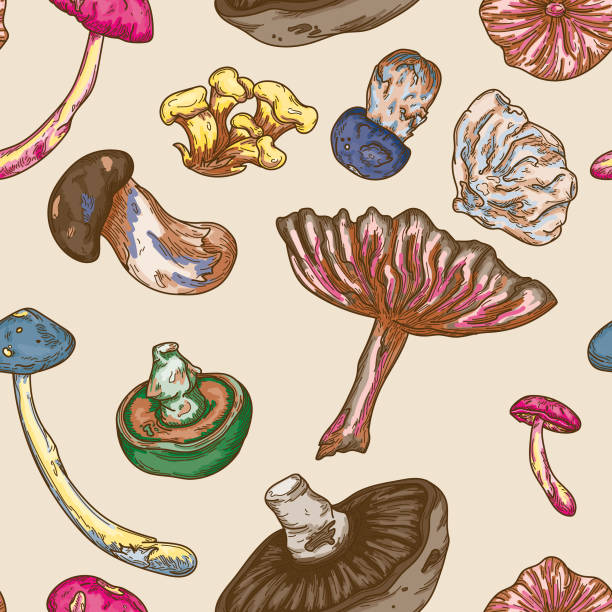 illustrazioni stock, clip art, cartoni animati e icone di tendenza di psychedelic colour line art forest mushroom seamless pattern - fungus mushroom autumn fly agaric mushroom