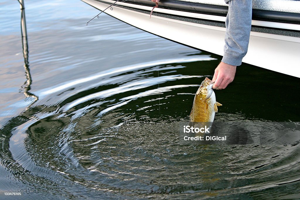 Piccolo bocca bass - Foto stock royalty-free di Amo da pesca