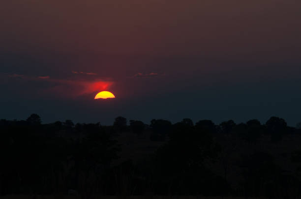 istock sunset over the cerrado 1334751698