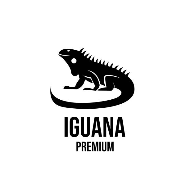 illustrations, cliparts, dessins animés et icônes de illustration de la conception de l’icône iguane - iguane