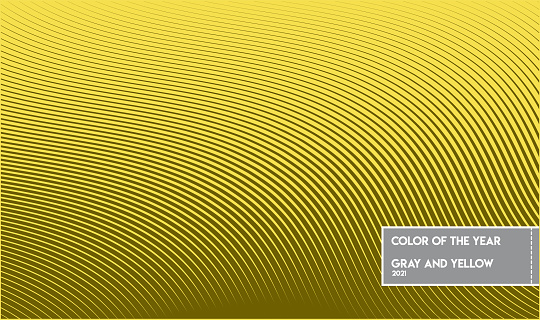Color Gra Yellow Yellow And Gray Color Sample Vector Stock Illustration - Download Image ...