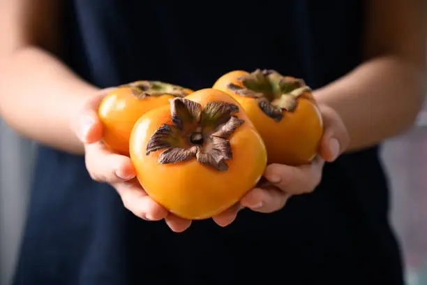 Ripe persimmon fruit holding by woman hand, Healthy Eating
