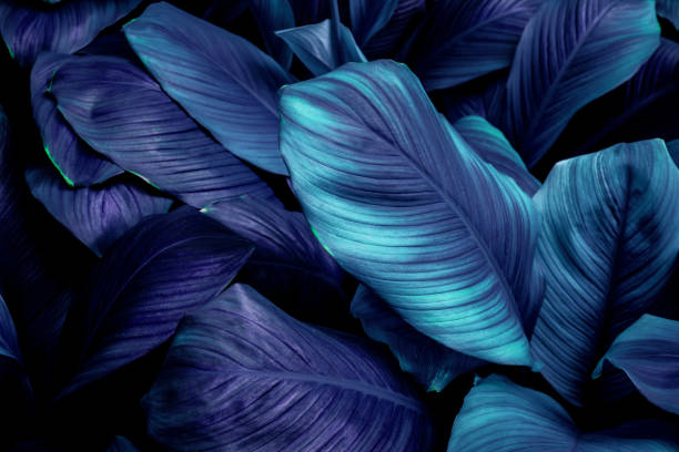 istock Full Frame of Green Leaves Pattern Background 1334759078