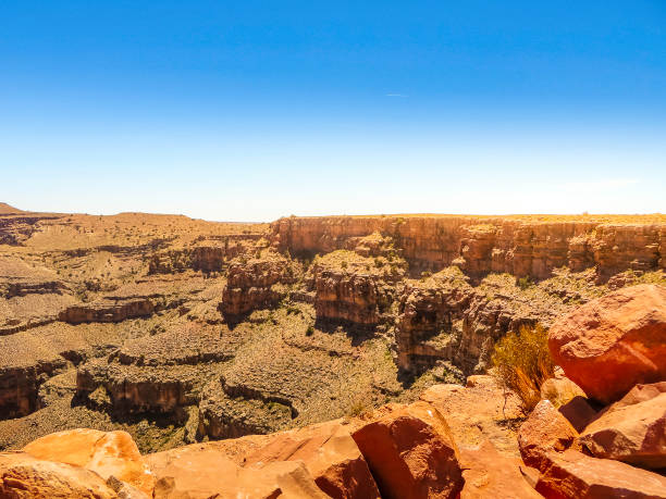 istock Grand Canyon National Park 1334761597
