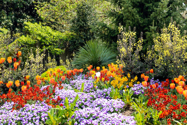 istock Flower Garden In Summer 1334761613