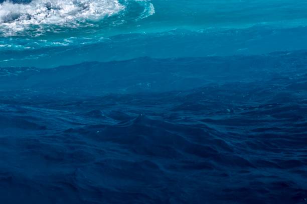 istock Blue lagoon of mayotte 1334765380