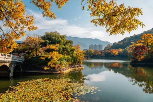 Autumn of Duryu Park Seongdangmot pond in Daegu, Korea