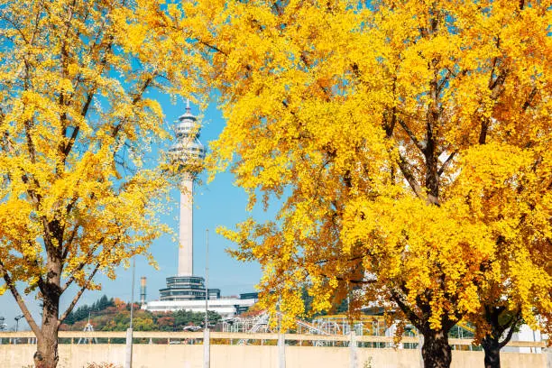 Autumn of Duryu Park in Daegu, Korea