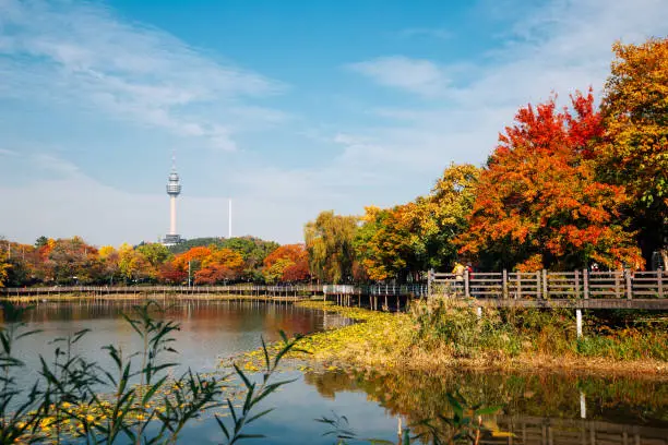 Autumn of Duryu Park Seongdangmot pond in Daegu, Korea