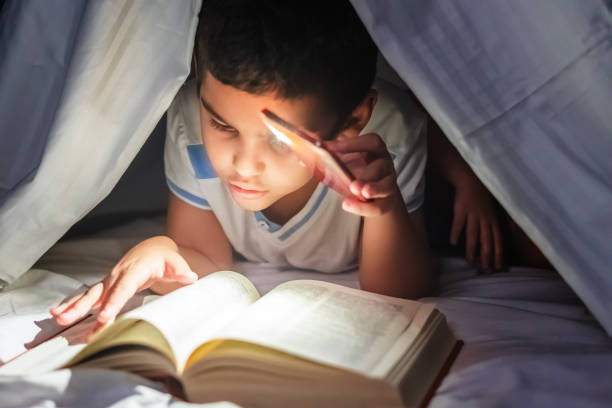 istock A multi-racial boy reading a book in hut 1334771330