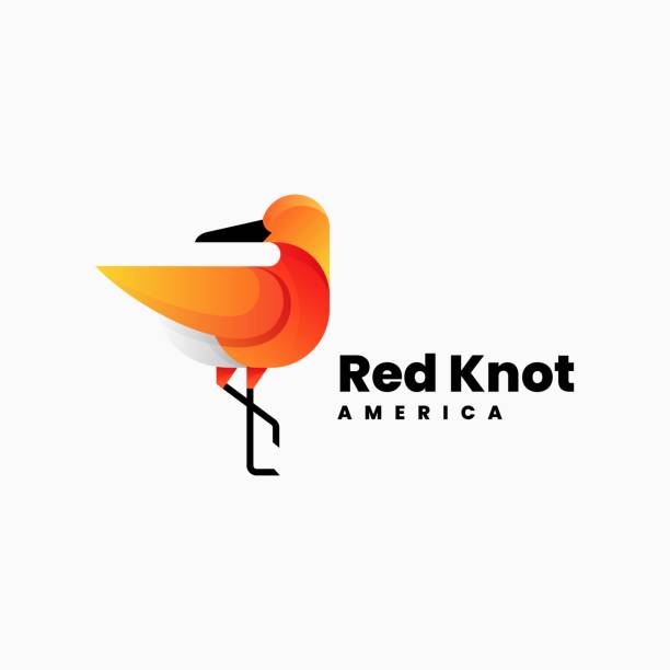 Vector Illustration Red Knot Gradient Colorful Style. Vector Illustration Red Knot Gradient Colorful Style. sandpiper stock illustrations