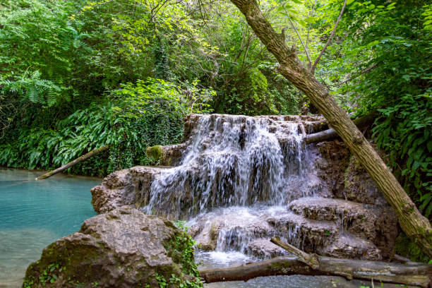 istock Krushuna waterfalls deep into the forest in the summer 1334773098