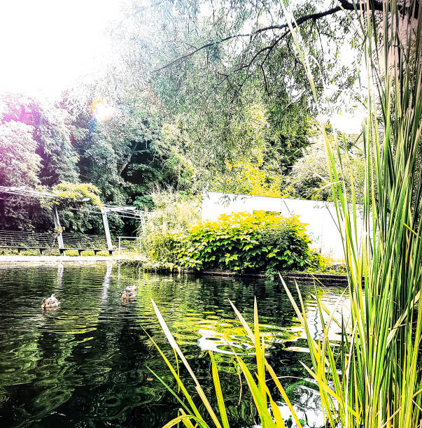 The lake in the dingle