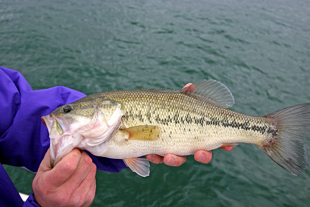 fisherman holding his 