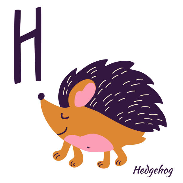 Hedgehog Animal Alphabet Learning Letter H H Is For Hedgehog Hand Draw Forest Animals In Scandinavian Style Alphabet Series Az Vector Cartoon Illustration For Childrens Alphabet Stock Illustration - Download Image Now - iStock Hedgehog Animal Alphabet Learning Letter H H Is For Hedgehog Hand Draw Forest Animals In Scandinavian Style Alphabet Series Az Vector Cartoon Illustration For Childrens Alphabet Stock Illustration - Download Image Now - iStock