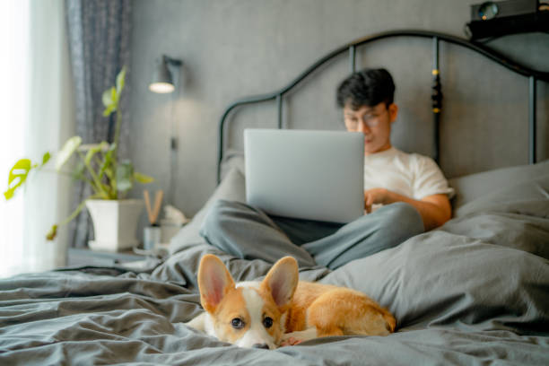 istock Playful little puppy messes with his owner's work time. 1334781336