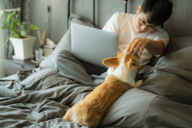 istock Playful little puppy messes with his owner's work time. 1334781344