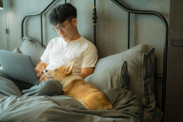 istock The freelancer is working with a dog sitting next to him on the bed. 1334781350
