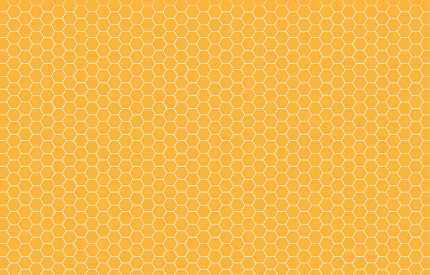 Bee hexagon texture background honeycomb pattern seamless vector Bee hexagon texture background honeycomb pattern seamless vector illustration honeycomb animal creation stock illustrations
