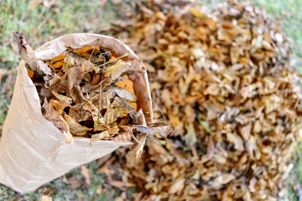 istock Autumn leaves in a bag 1334784171