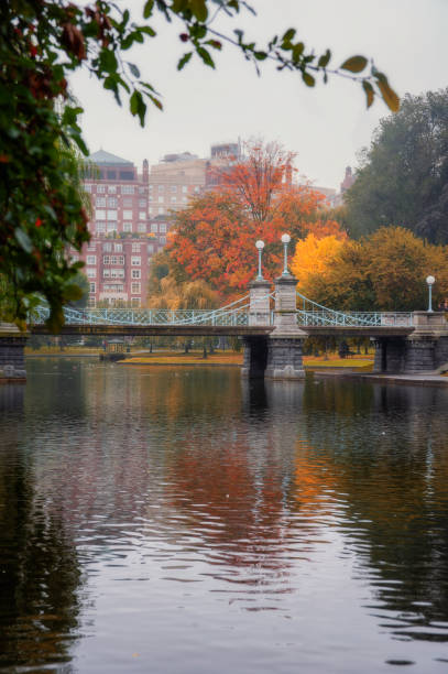 istock Foliage at Boston Common public park 1334784523