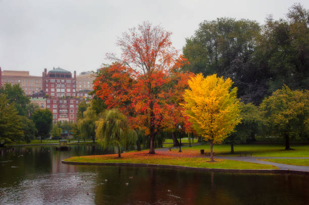 istock Foliage at Boston Common public park 1334784525