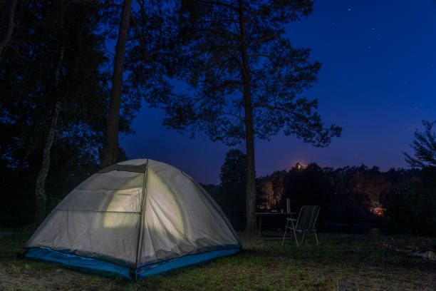 istock Tourist tent lighting at night in wildness 1334785196