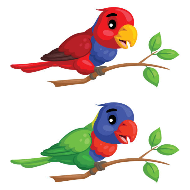 538 Parrot Talking Illustrations & Clip Art - iStock | African grey parrot  talking