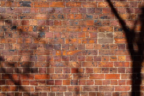 istock Part of a brick wall with shadows 1334789480