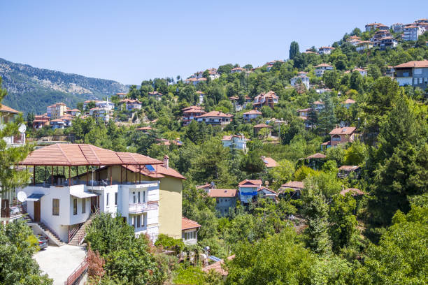 istock Beautiful town over mountains 1334791890