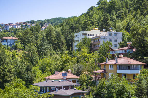 istock Beautiful town over mountains 1334793091