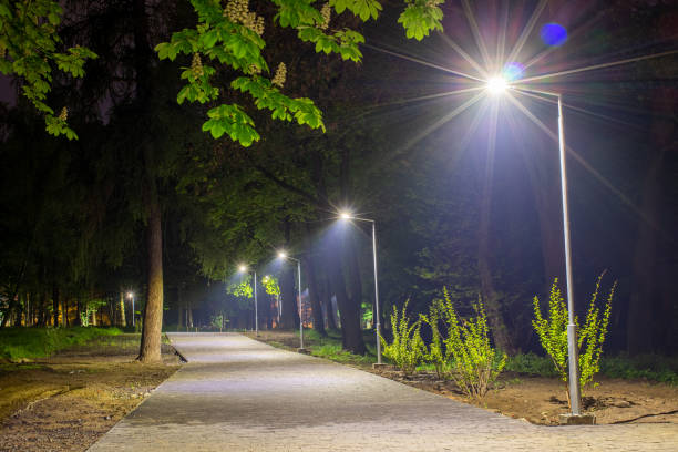 istock Beautiful park alley at night 1334795153