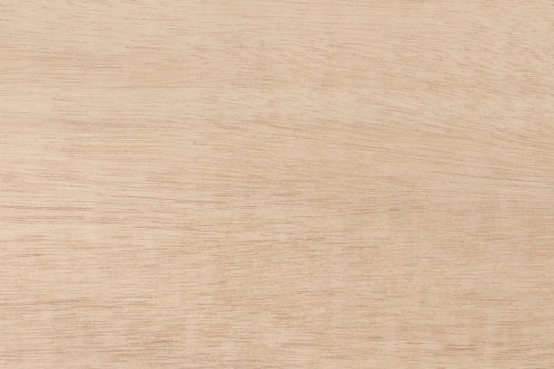 tło tekstury sklejki, drewniana powierzchnia w naturalnym wzorze do projektowania dzieł sztuki. - plywood wood grain panel birch zdjęcia i obrazy z banku zdjęć