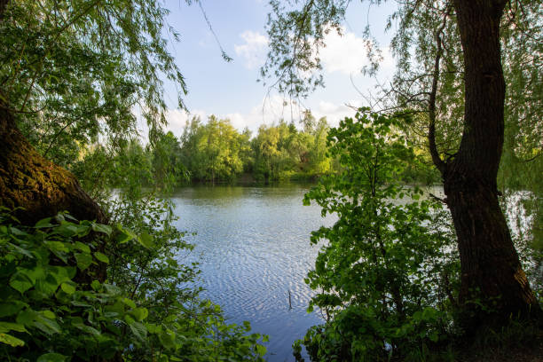 istock A beautiful lake after the sunset is magnificent nature 1334795741