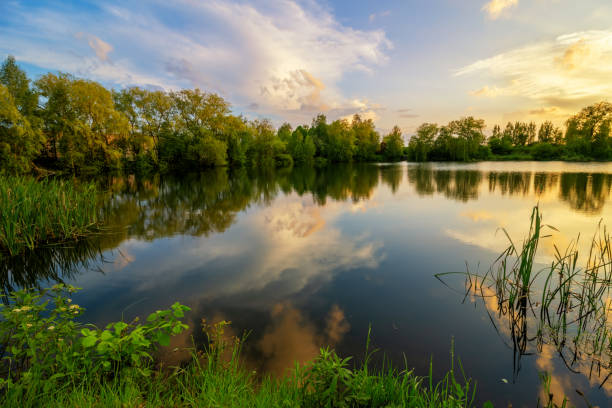 Rural lake in evening. Beautiful water panorama. Evening river in village. Beautiful landscape with lake and trees. Wonderful natural view. Water panorama. Slavonic nature