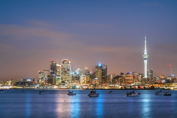 istock Auckland skyline at night. 1334796570